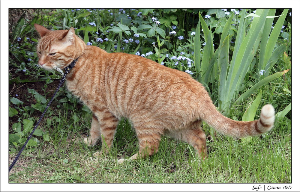 2010   05   Chez Nono 12